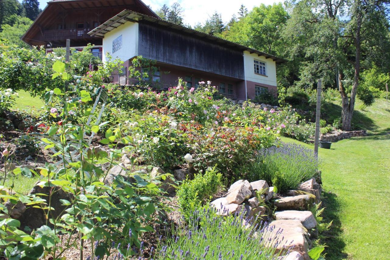 Affittacamere The Moosbach Garden Nordrach Esterno foto