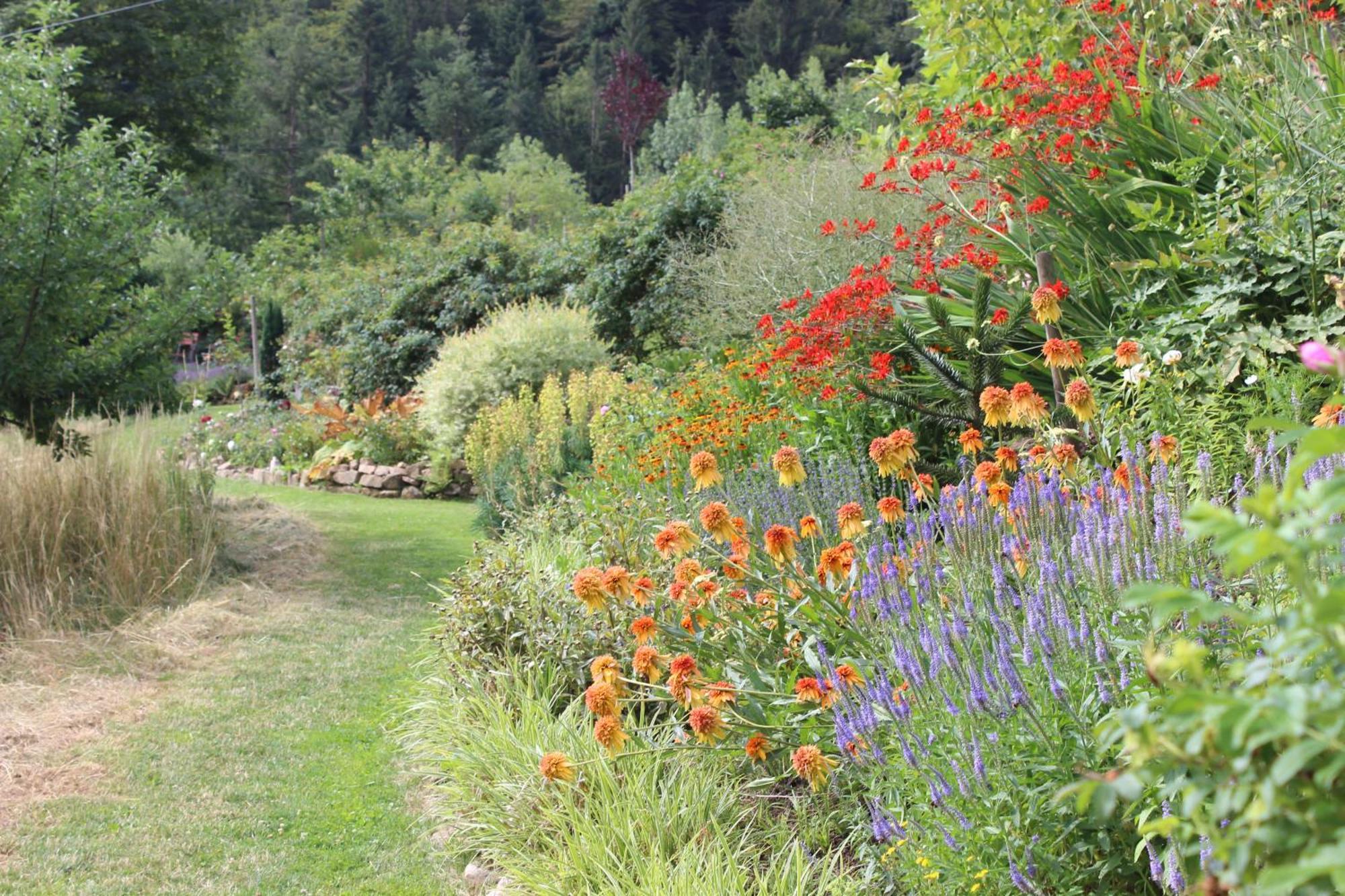 Affittacamere The Moosbach Garden Nordrach Esterno foto