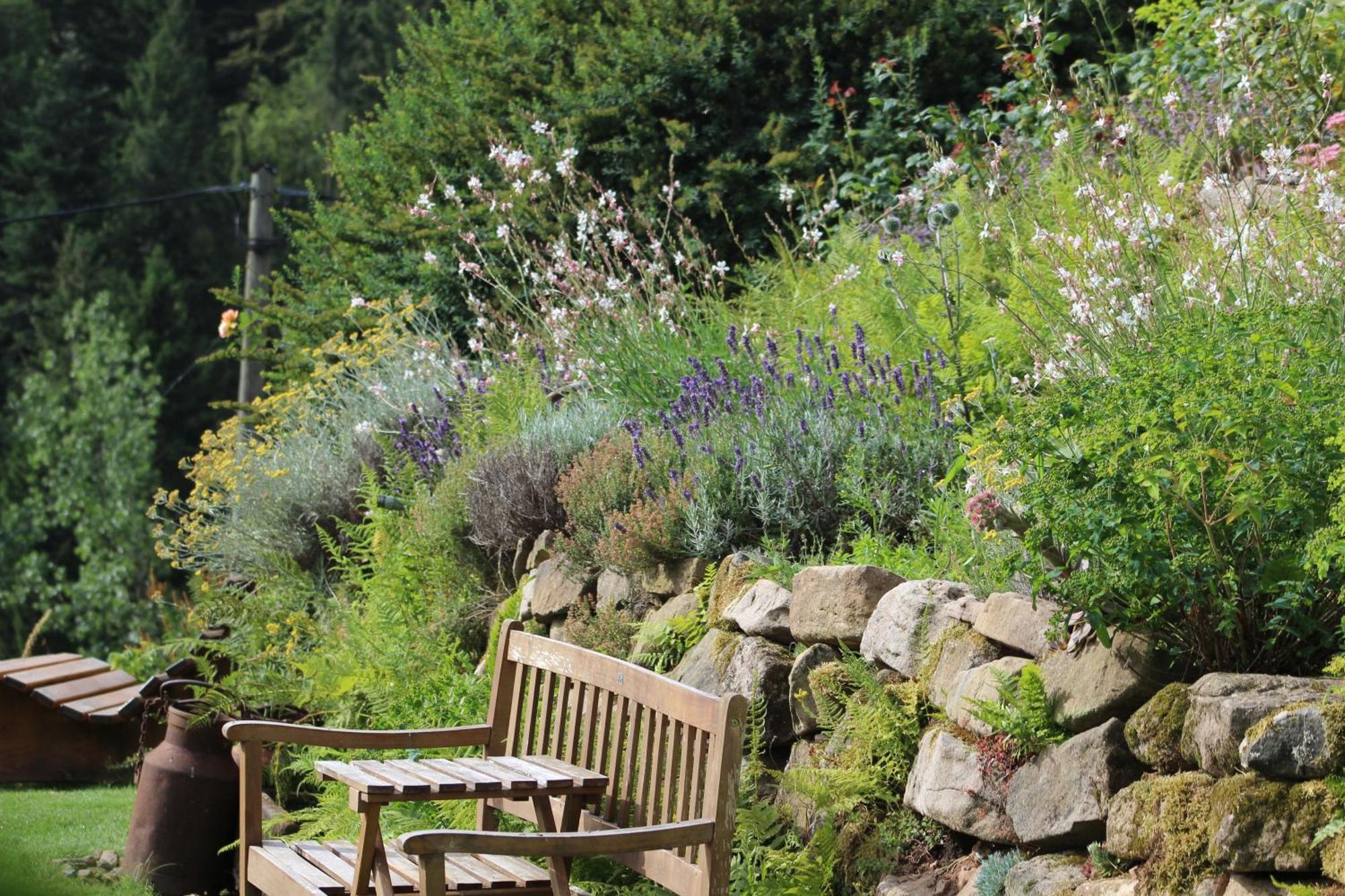 Affittacamere The Moosbach Garden Nordrach Esterno foto
