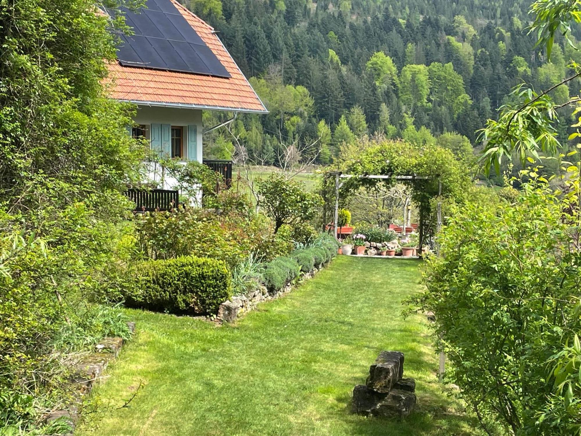 Affittacamere The Moosbach Garden Nordrach Esterno foto