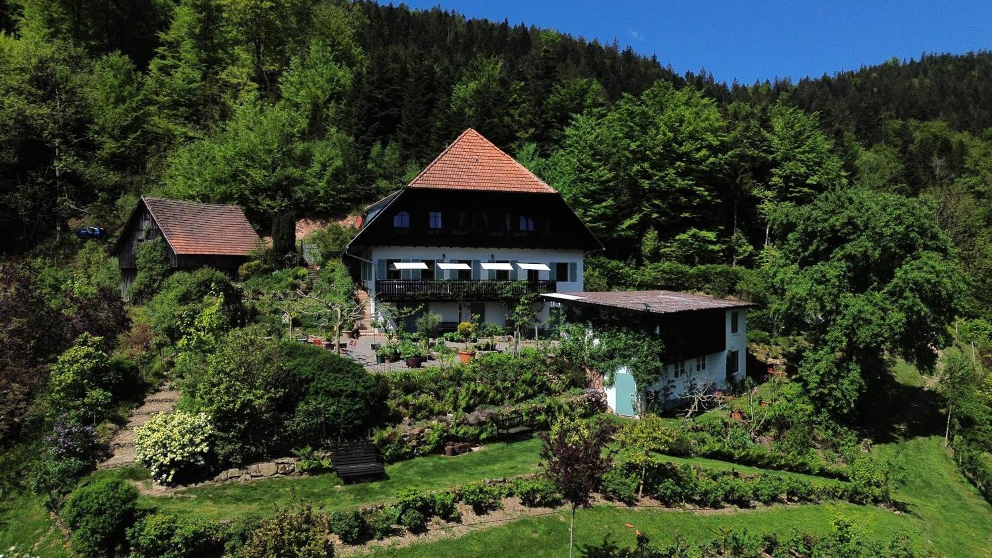 Affittacamere The Moosbach Garden Nordrach Esterno foto