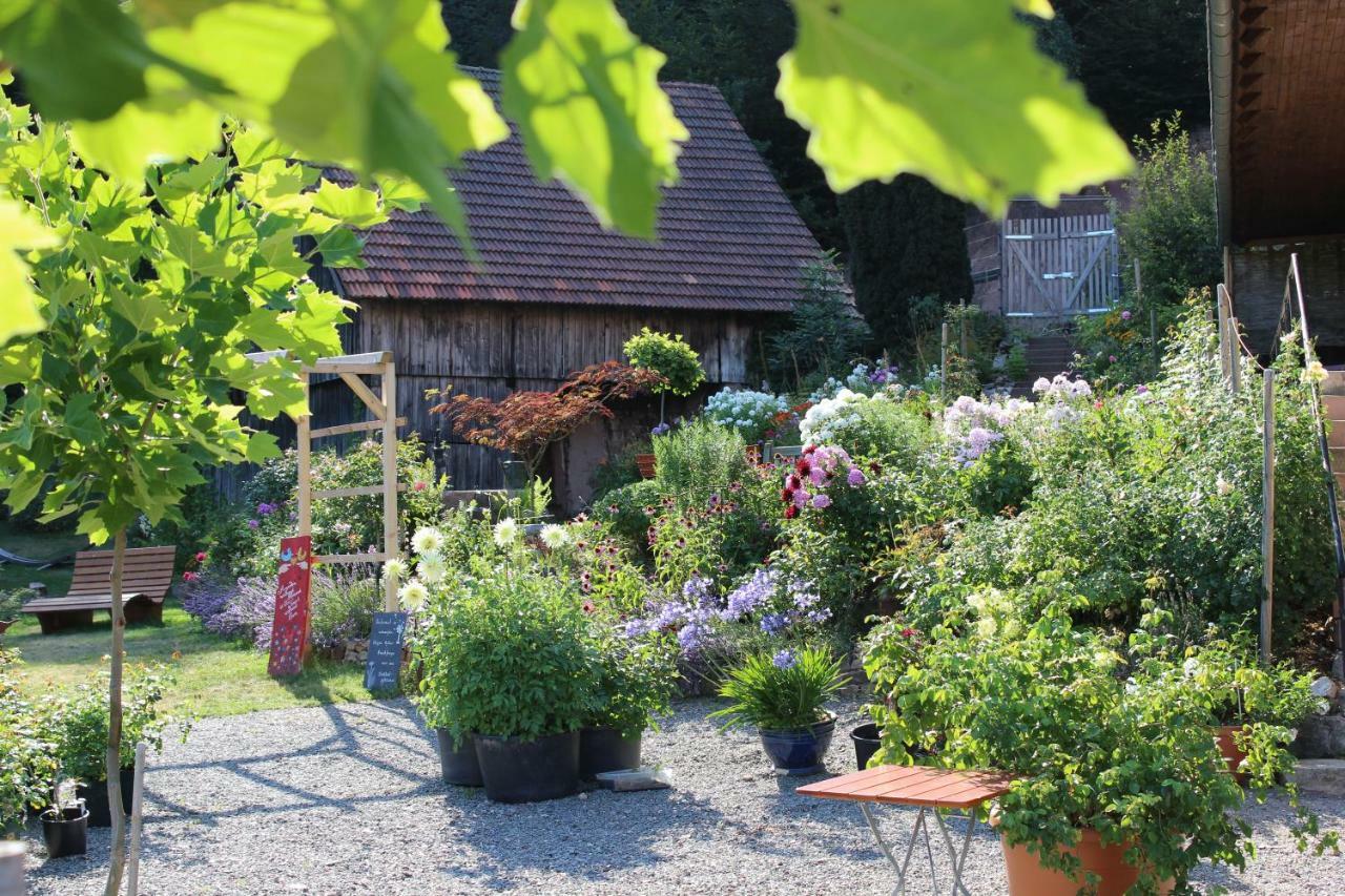 Affittacamere The Moosbach Garden Nordrach Esterno foto