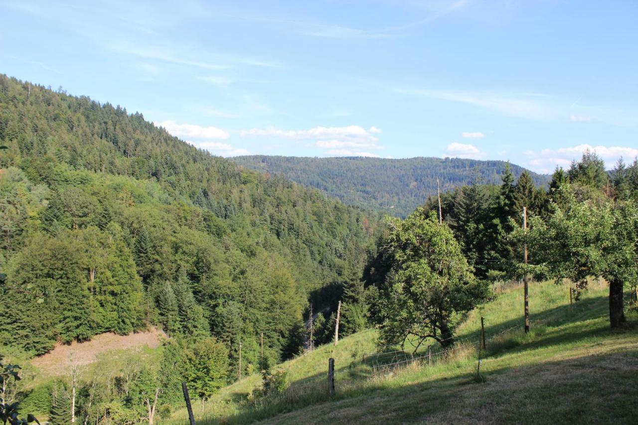 Affittacamere The Moosbach Garden Nordrach Esterno foto